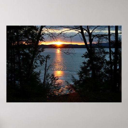 Sonnenuntergang über Forest Lake Poster (Vorne)