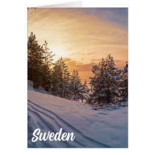 Sonnenuntergang über gefrorenem Schneewald in der