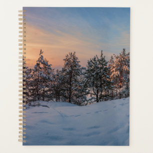 Sonnenuntergang über gefrorenem Schneewald in der Planer