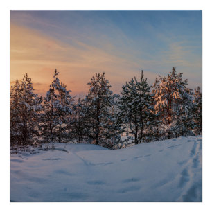 Sonnenuntergang über gefrorenem Schneewald in der Poster