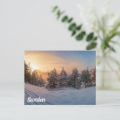Sonnenuntergang über gefrorenem Schneewald in der Postkarte (Stehend Vorderseite)