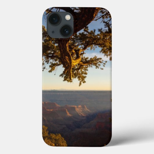 Sonnenuntergang über Grand Canyon Case-Mate iPhone Hülle (Rückseite)