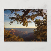Sonnenuntergang über Grand Canyon Postkarte (Vorderseite)