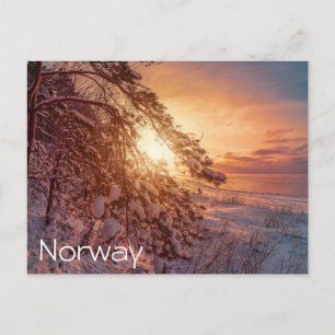 Sonnenuntergang über Meer und schneebedeckter Kief Postkarte