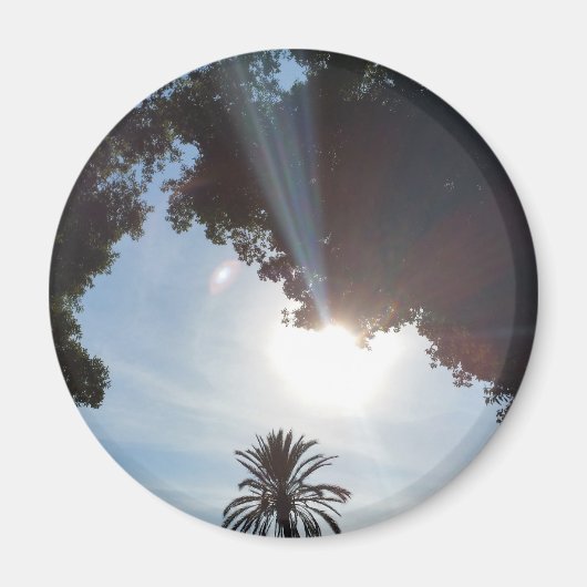 Sonnenuntergang über Parkanlage Magnet (Vorne)