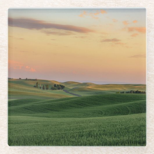 Sonnenuntergang über Staat der Weizen-Feld-| Glasuntersetzer (Vorderseite)