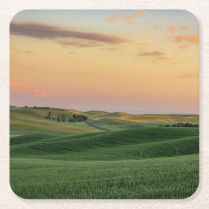 Sonnenuntergang über Staat der Weizen-Feld-  Rechteckiger Pappuntersetzer