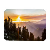 Sonnenuntergang über Wald Magnet (Horizontal)