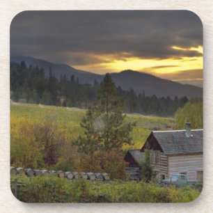 Sonnenuntergang über Weinbergen und historische B Untersetzer