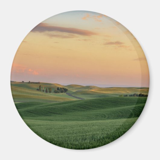 Sonnenuntergang über Weizenfeldern | Washingtoner  Magnet (Vorne)