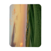 Sonnenuntergang über Weizenfeldern | Washingtoner Magnet (Vertikal)