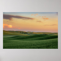 Sonnenuntergang über Weizenfeldern | Washingtoner