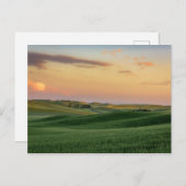 Sonnenuntergang über Weizenfeldern | Washingtoner Postkarte (Vorne/Hinten)