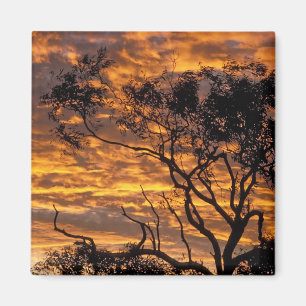 Sonnenuntergang, Uluru-Kata Tjuta National Park, Magnet