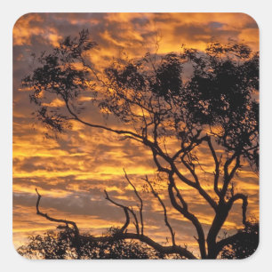 Sonnenuntergang, Uluru-Kata Tjuta National Park, Quadratischer Aufkleber