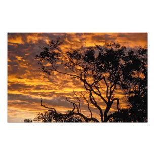 Sonnenuntergang, Uluru-Kata-Tjuta-Nationalpark, Fotodruck