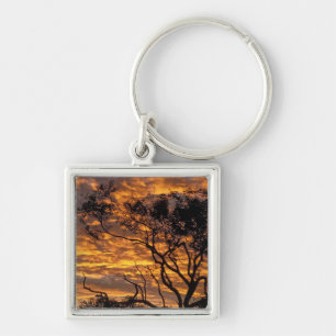Sonnenuntergang, Uluru-Kata-Tjuta-Nationalpark, Schlüsselanhänger
