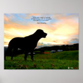 Sonnenuntergang und Kack Poster (Vorne)