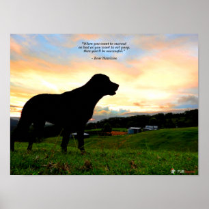 Sonnenuntergang und kacken poster