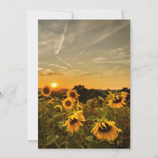 Sonnenuntergang und Sonnenblumen | In Love Memory Einladung (Rückseite)