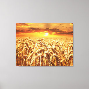 Sonnenuntergang und Weizenfeld Leinwanddruck