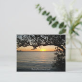 Sonnenuntergang unter Baum Postkarte (Stehend Vorderseite)