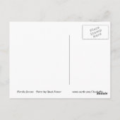 Sonnenuntergang unter Baum Postkarte (Rückseite)