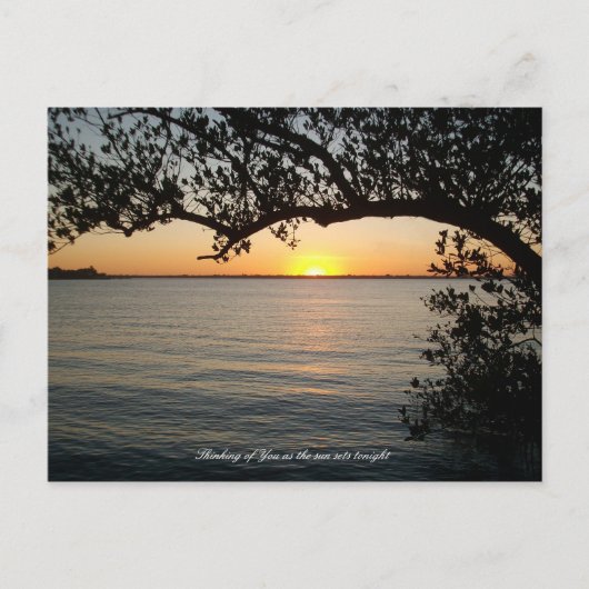 Sonnenuntergang unter Baum Postkarte (Vorderseite)