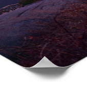 Sonnenuntergang vom Bärenberg NY Poster (Ecke)