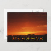 Sonnenuntergang vom Mt. Washburn Postkarte (Vorne/Hinten)