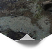 Sonnenuntergang von den Gezeitenpools Poster (Ecke)