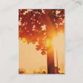 Sonnenuntergangbaum Visitenkarte (Rückseite)