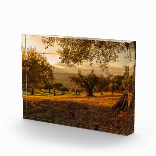 Sonnenuntergänge Herbstbäume Fotoblock (Rechts)