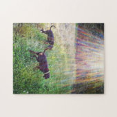 Sonnenuntergänge im Abend Puzzle (Horizontal)