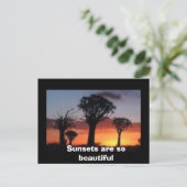 Sonnenuntergänge sind so schön postkarte (Stehend Vorderseite)
