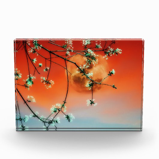Sonnenuntergangs-Dämmerung Fotoblock (Vorderseite)