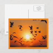 Sonnenuntergangs-Szene mit orangem Rand Postkarte (Vorne/Hinten)