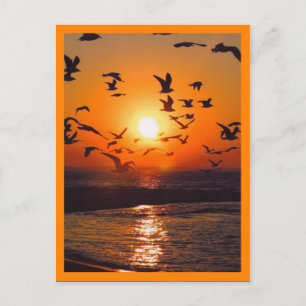 Sonnenuntergangs-Szene mit orangem Rand Postkarte