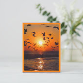 Sonnenuntergangs-Szene mit orangem Rand Postkarte (Stehend Vorderseite)