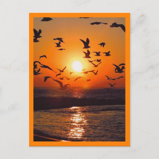 Sonnenuntergangs-Szene mit orangem Rand Postkarte (Vorderseite)