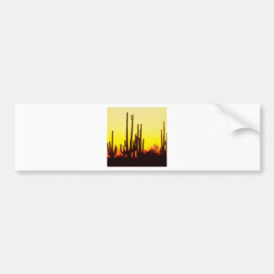 Sonnenuntergangsaguaro-Kaktus an Autoaufkleber
