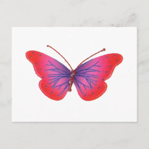 "Sonnenuntergangsblüte" Rot und Violetter Schmette Postkarte
