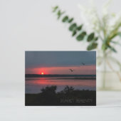 Sonnenuntergangsserenität | Abendlagune Postkarte (Stehend Vorderseite)