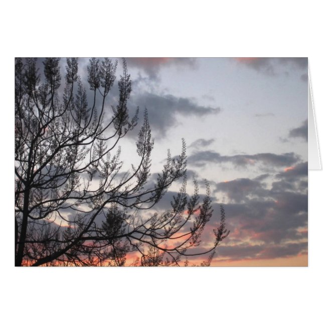Sonnenuntergangszweige (Vorderseite (Horizontal))