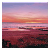 SONNENUNTERNEHMEN POSTER (Vorderseite)