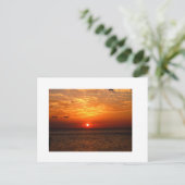 SONNENUNTERNEHMEN POSTKARTE (Stehend Vorderseite)