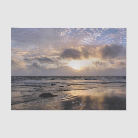 SONNENUNTERNEHMEN SEIDENPAPIER (Vorderseite)