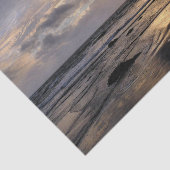 SONNENUNTERNEHMEN SEIDENPAPIER (Ausschnitt)