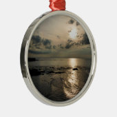 SONNENUNTERNEHMEN SILBERNES ORNAMENT (Rechts)