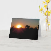 SONNENVERKEHR KARTE (Gelbe Blume)